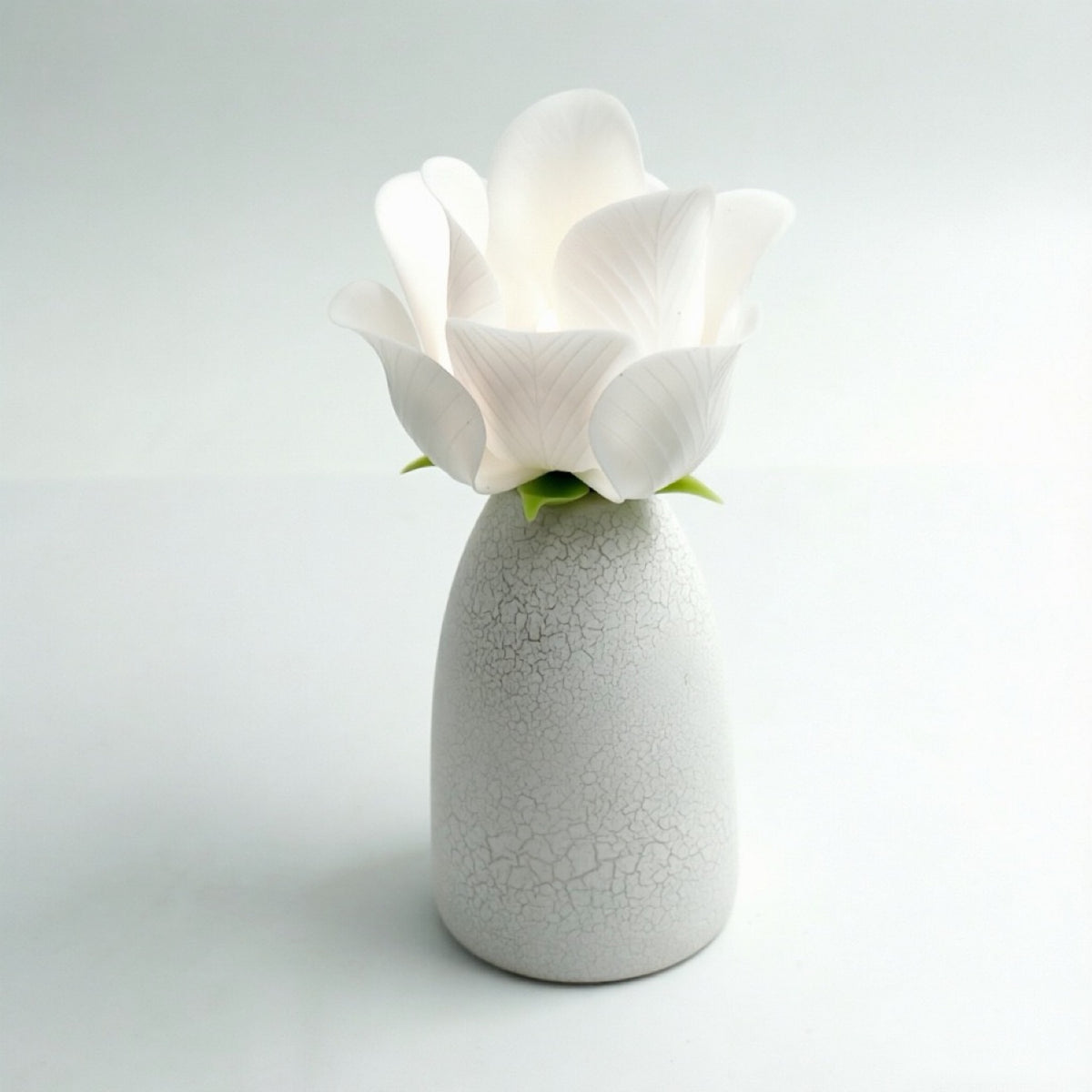 White blooming rose lamp glowing