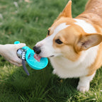 Round Stainless Steel Dog Water Bottle - 27oz Leak-Proof Portable Pet Travel Flask with Wide Drinking Bowl