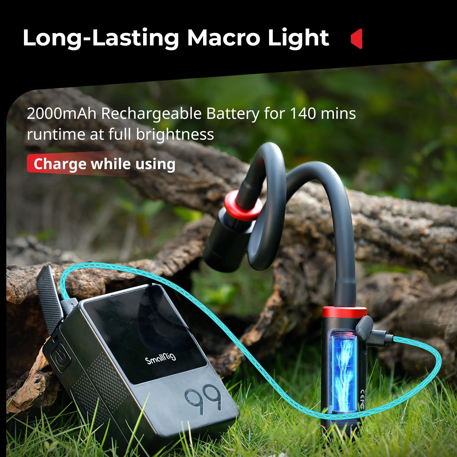 RM 03 Makro-Foto-LED-Leuchte für Pilze und Miniaturen, 5 Farben CRI95, flexibler Arm, Diffusor