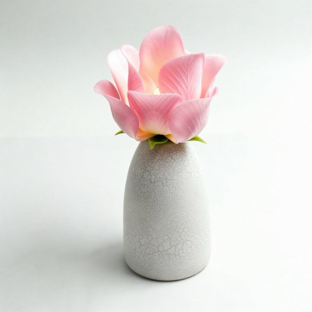 Pink blooming rose lamp fully bloomed